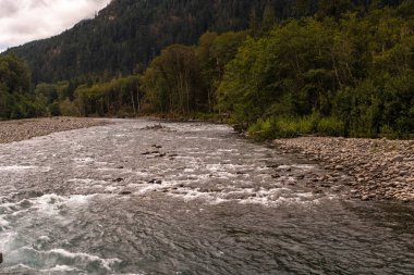 Hızlı akan sığ Elwha Nehri Olimpiyat Milli Parkı, Washington State, ABD'de çakıl taşları ve kayalar üzerinde çalışır