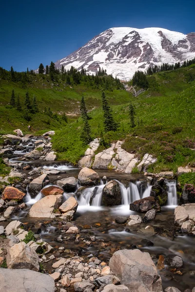 Een besneeuwde berg, Mount Rainier in de lente met een veld van wilde bloemen op de voorgrond, en een stroom trapsgewijs over rotsen, lange blootstelling aan glad uit het water — Stockfoto