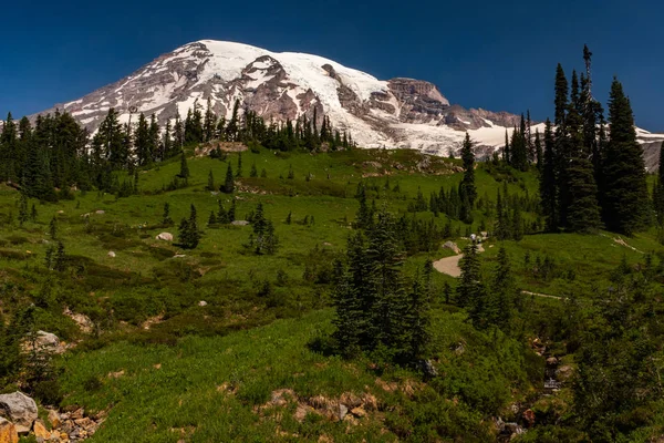 Uma montanha coberta de neve, o Monte Rainier, na primavera, com um prado verdejante polvilhado com abaixos selvagens em primeiro plano e caminhantes caminhando por uma das trilhas — Fotografia de Stock