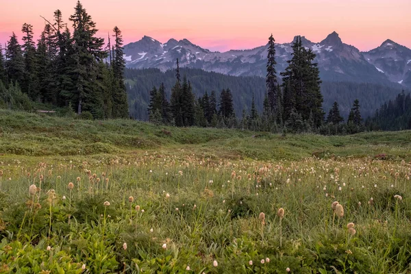 野生の花を持つ草原の向こうから山々の夕日の眺めは、空は赤みを帯びた色で、山の雪をちらりと見る — ストック写真