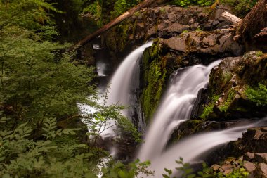 Sol Duc Şelalesi'ndeki yuvarlanan sular, Olimpik Ulusal Park, Washington, ABD, şelalenin üç parmağına bulanık bir hareket yaratmak için uzun pozlama