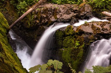 Sol Duc Şelalesi'ndeki yuvarlanan sular, Olimpik Ulusal Park, Washington, ABD, uzun pozlama şelaleler için bulanık bir hareket yaratmak