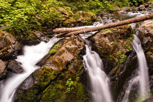 Den tumlande vatten vid Sol Duc Falls, Olympic National Park, Washington, USA, lång exponering skapa en suddig rörelse till de tre fingrarna av fallen med en fallen träd över toppen av fallen — Stockfoto
