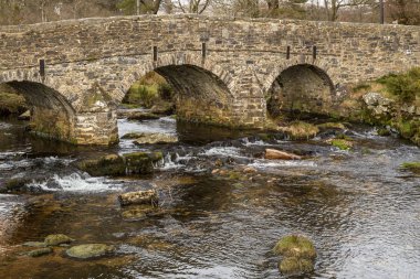 Dartmoor Ulusal Parkı, İngiltere'de Doğu Dart Nehri üzerinde taş Pack Horse köprü bir yan görünümü 