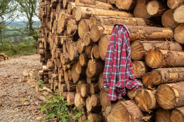 Uma camisa xadrez enganchada em uma pilha de árvores recém-cortadas listradas de ramos e preparado para a parte serração da indústria madeireira na Irlanda . — Fotografia de Stock