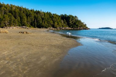 Long Beach Tofino, Vancouver Adası, Kanada, parlak mavi gökyüzü ile öğleden sonra vurdu, uzak mesafede birkaç kişi