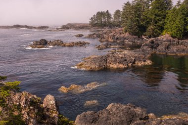 Engebeli Vahşi Pasifik Rim Trail, sis Ucluelet de kayalara sarılmış, British Columbia Vancouver Adası'nın batı kıyısında Ucluelet Yarımadası' nda, Kanada.