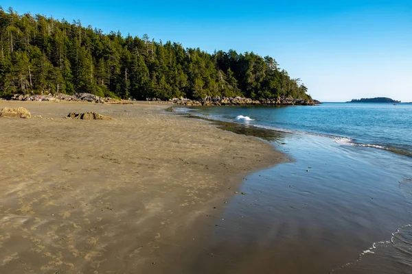 Long Beach Tofino, Νήσος Βανκούβερ, Καναδάς, πυροβολήθηκε αργά το απόγευμα με ένα φωτεινό γαλάζιο ουρανό, λίγοι άνθρωποι στην μακριά απόσταση — Φωτογραφία Αρχείου