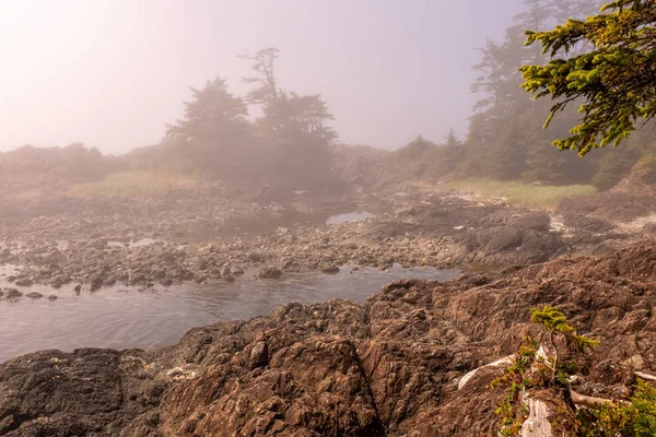 O nevoeiro envolve a acidentada Trilha da Orla do Pacífico Selvagem em Ucluelet, na Península de Ucluelet, na costa oeste da Ilha de Vancouver, na Colúmbia Britânica, Canadá . — Fotografia de Stock