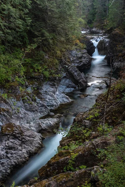Un aspecto de retrato del río Qualicum se precipita a través de la garganta en el Parque Provincial Little Qualicum, Isla Vancouver, Canadá, creando pequeñas cascadas — Foto de Stock