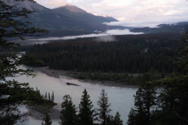 Bulutlu bir günde Kanada'daki Jasper Milli Parkı'ndan geçerken Athabasca Nehri'nin gün erken saatlerinde bir manzara