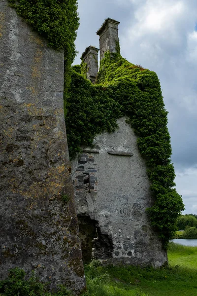 A view of the approach to the spectacular and magical Ivy clad castle that has been left abandoned and to the forces of nature — стоковое фото