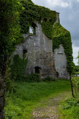 Bu muhteşem ve büyülü sarmaşık kaplı kale yaklaşım olarak bir görünüm terk edilmiş ve doğanın güçleri için