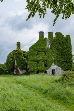 Terk edilmiş ve doğanın kuvvetlerine sol olmuştur muhteşem ve büyülü sarmaşık kaplı kale mesafesine bir ön görünüm