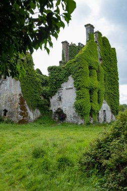 Terk edilmiş ve doğanın güçlerinin sol olmuştur muhteşem ve büyülü sarmaşık kaplı kale üç çeyrek görünümü