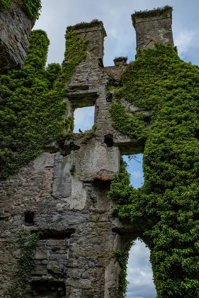 A view from inside this spectacular and magical ivy clad castle that has been left abandoned and left to the forces of nature