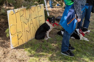 Shannon, Irlanda, Haziran. 5, 2019: Anti Trump köpek protestoları Shannon Havaalanı, Irlanda