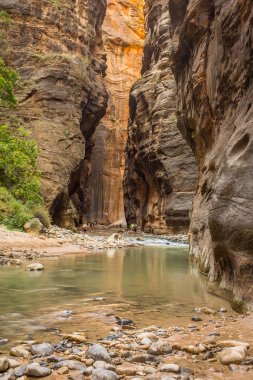 Virgin Nehri muhteşem ve çarpıcı Narrows, Zion Milli Parkı, Abd ile yolunu dikir