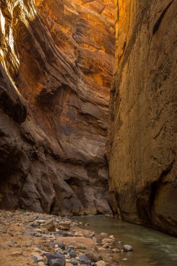 Virgin Nehri muhteşem ve çarpıcı Narrows, Zion Milli Parkı, Abd ile yolunu dikir