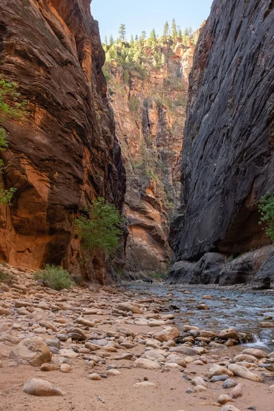 Den spektakulära och fantastiska Virgin River väver genom Narrows, Zion National Park, USA — Stockfoto