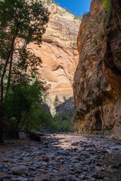 The spectacular and stunning Virgin River weaves through the Narrows, Zion National Park, USA — Stock Photo, Image