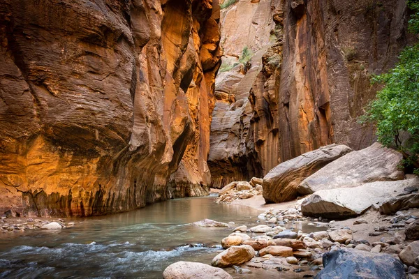 Muhteşem ve çarpıcı Virgin Nehri Narrows, Zion Milli Parkı, Abd, manzara yönü düşük aşağı açı ile daynır
