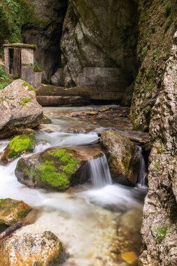 Küçük dere, İtalya 'nın Le Marche kentindeki bir vadide yosunların arasından taşlarla kaplıdır.