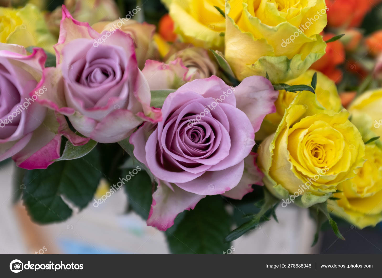 A Top Down View Of Bunches Of Multi Coloured Roses For Sale At A Local Market Stock Photo C 2checkingout 278688046
