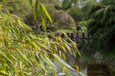 Harewood, Yorkshire, UK, Nisan, 23, 2019: bir anne Harewood House, Harewood, Yorkshire, Ingiltere 'de gölün karşısındaki basamaklama taşları boyunca onun genç oğlu yardımcı olur