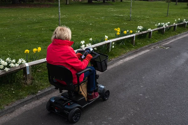 Una anciana con un abrigo rojo disfrutando de la libertad de un scooter de movilidad eléctrica en un camino tranquilo con narcisos de primavera en flor . — Foto de Stock