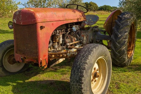 Nahaufnahme eines rostenden roten Traktors, der in einem Garten sitzt — Stockfoto