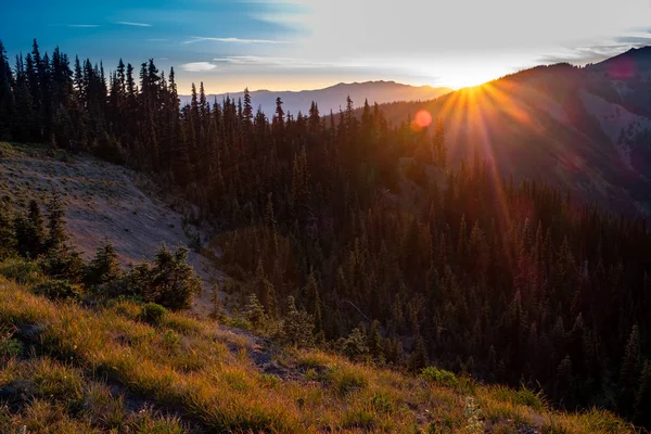 Hurricane Ridge Sunset Panoraması. Hurricane Hill üzerinde Hurricane Ridge 'Den kuzeye bakan bir günbatımı Panoraması