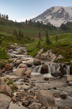 Karla kaplı Rainier Dağı 'nın önünde kayalar üzerinde basamaklı küçük bir dere