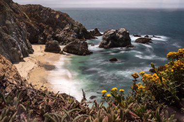Point Reyes Milli Parkı 'nda bir plajın manzarası, California, gorse plaj görünümü çerçeveleri