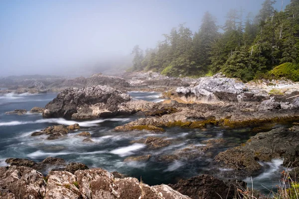 Wild Pacific Rim Trail, Ucluelet, Ingiltere Columbia, Kanada 'da Vancouver Adası 'nın Batı kıyısında Ucluelet Yarımadası üzerinde.