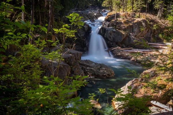 Річка Ohanapecosh срібло падає на горі Реньє Національний парк, широкий вигляд обрамлені листям — стокове фото