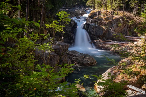 Ohanapecosh Nehri şelaleler Silver Falls Mount Rainier Milli Parkı, geniş bir görünüm yaprakları tarafından çerçeveli