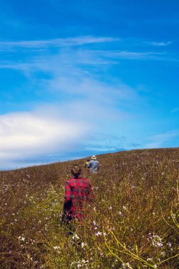 Üç arkadaş Tomales Point Trail üzerinde yaban çiçekleri çayır bir yürüyüş