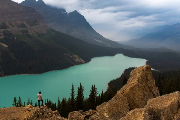 Panoramautsikt över turkosa sjön Peyto med omgivande berg och skog i dalen under solig sommardag, Banff National Park, Kanadensiska klippor, Kanada med en vandrare i förgrunden — Stockfoto