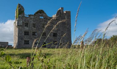 Ilçe Ennis, Irlanda bir Irlandalı kale büyük bir muhteşem görünümlü kalıntıları bir portre görünümü.