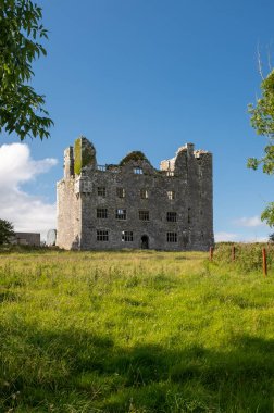 Ilçe Ennis, Irlanda bir Irlandalı kale büyük bir muhteşem görünümlü kalıntıları bir portre görünümü.