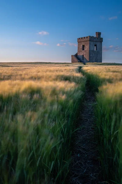 Портрет смотровой крепости, гордой на поле пшеницы на закате, тропинка в поле, ведущая — стоковое фото