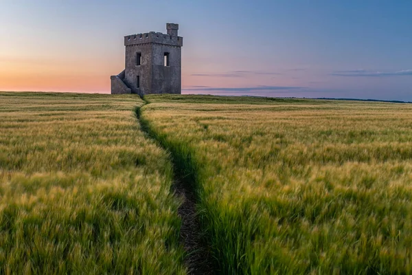 Ein Aussichtsturm steht stolz in einem Weizenfeld bei Sonnenuntergang, Pfad im Feld führt — Stockfoto