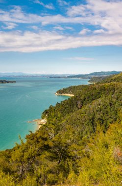 İnanılmaz güzel Able Tasman Milli Parkı, Güney Adası, Yeni Zelanda birçok koyları ve altın plajları boyunca bir görünüm