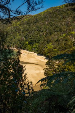 İnanılmaz güzel Able Tasman Milli Parkı'nda bir plaj ağaçlarının arasından bir görünüm, South Island, Yeni Zelanda