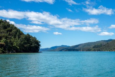 Güzel ve çarpıcı Marlborough Sound ve Güney Adası, Yeni Zelanda üst çevreleyen tepelerin bir su seviyesi görünümü