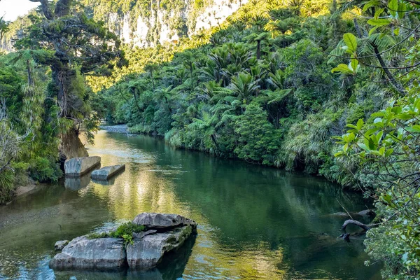 広い流れは ネイティブニュージーランドの茂みを通ってその方法を織ります — ストック写真