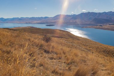Scenic views of spectacular golden Mackenzie Basin under blue sky clipart