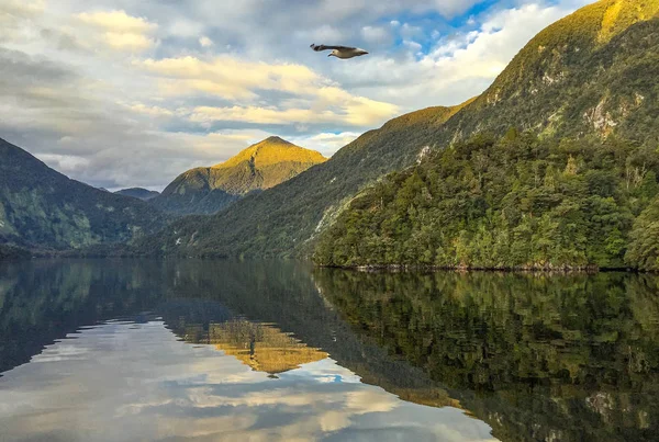 Milford Sound'un yeşil dağlarla çevrili manzarası, Yeni Zelanda