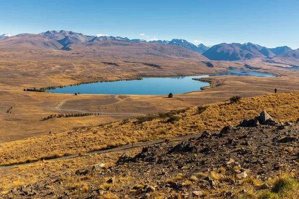 Malownicze Widoki Spektakularne Golden Mackenzie Basin Pod Błękitne Niebo — Zdjęcie stockowe